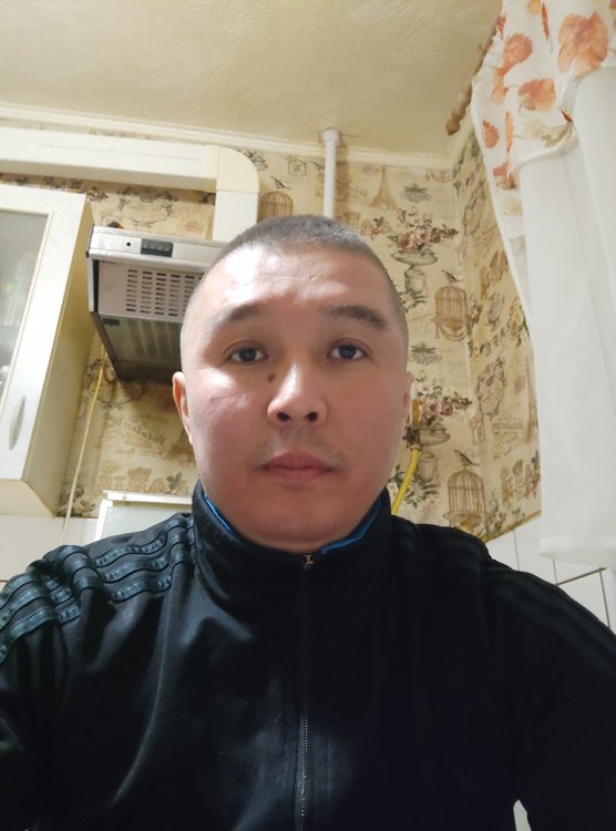 Сиб 35. Сиб 35