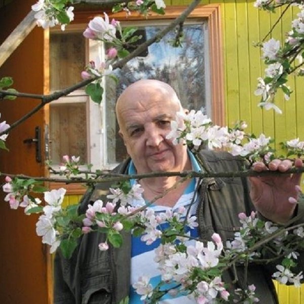 Вязьма 60. Вязьма 60
